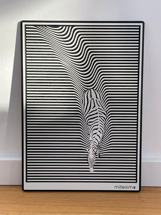 HPL Bild „Zebra“